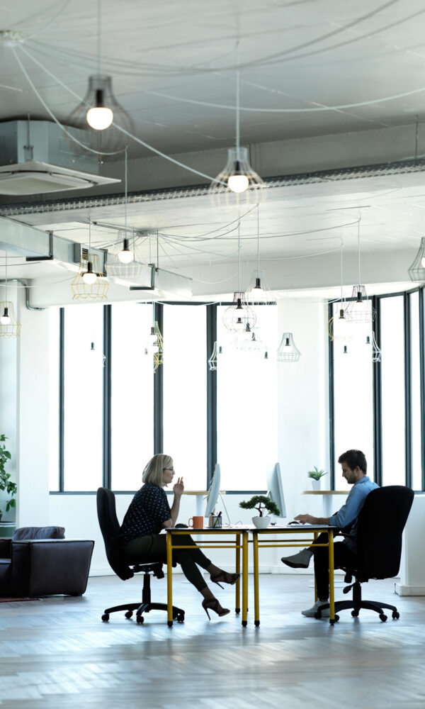 Working hard for the benefit of the company. Full length shot of two businesspeople working at their desks in the office.