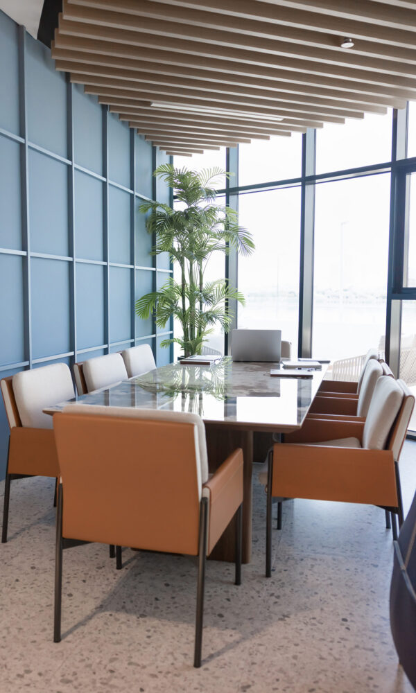 Empty small business meeting room with table and eight seats, full length of chairs, stone surface of desk, blue wall, large window and potted plant for workspace interior decoration